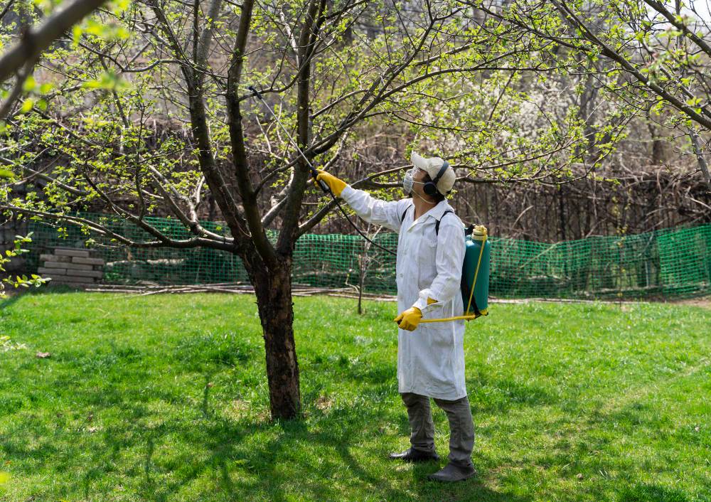 Do Herbicides Harm Trees?