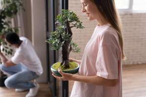 The Dangers of Planting Trees Too Close to Your Home